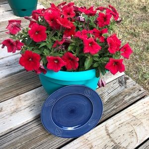 Blue Salad Plate